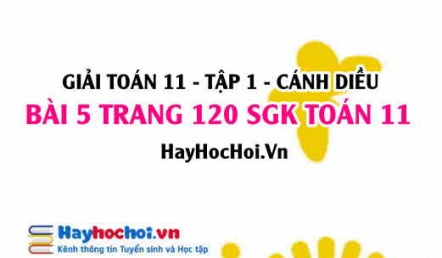 Giải bài 5 trang 120 Toán 11 tập 1 SGK Cánh Diều